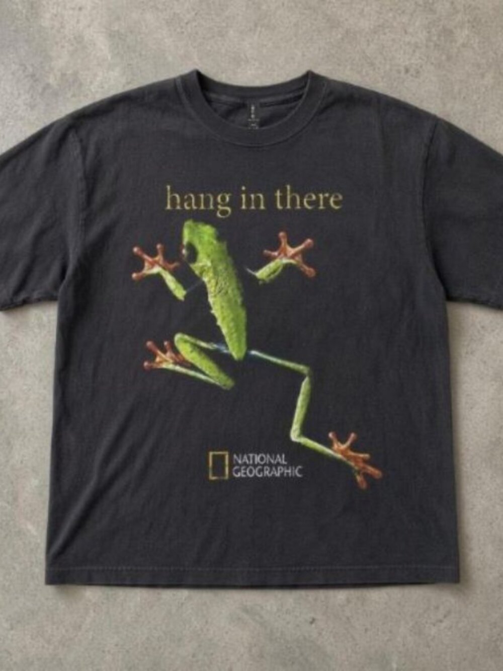 National Geographic green frog hang in there black tee